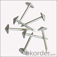 Electric Galvanized Roofing Nails with Best Price Screw and Quality