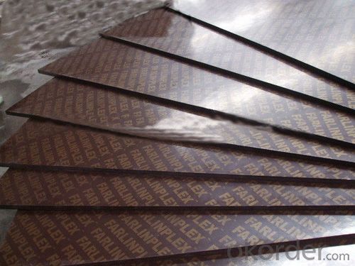 Brown or Black Film Faced Plywood with High Quality