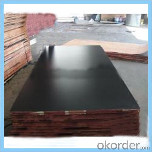 9mm & 12mm Black Film Faced Plywood for Nepal Market