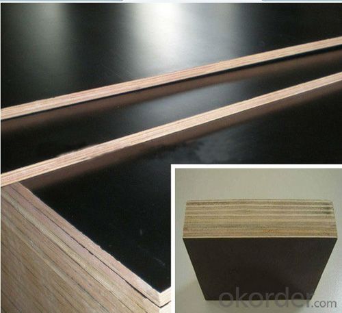WBP Melamine Glue Poplar Core Film Faced Plywood with 19mm Thickness