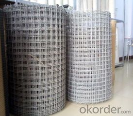 Galvanized Wire Mesh/Hot Dipped Electro Galvanized Good Quality