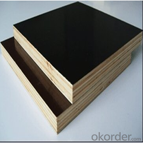 Hardwood Core Film Faced Plywood from 9-35mm Thickness