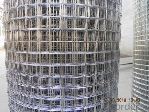 Welded Wire Mesh For make the home constrcution