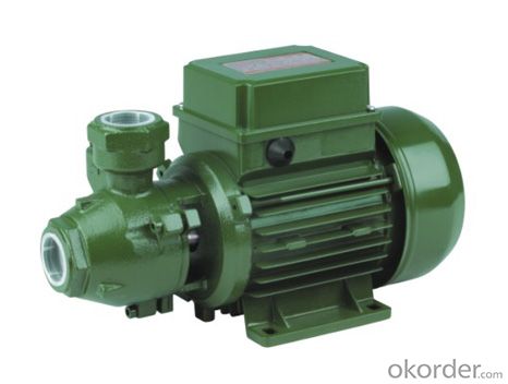 QB Series Peripheral Pumps with Brass Impellers