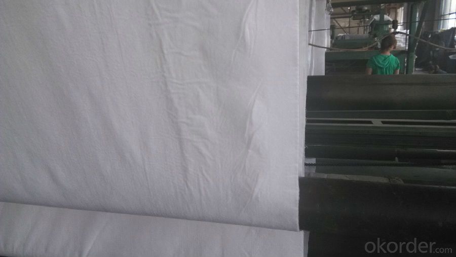 Thermal bonded Nonwoven geotextile PP/PET Non woven Geotextile