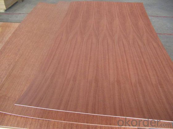 Sapele Commercial Plywood for Furniture Usage