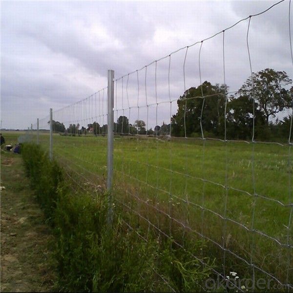 Cattle Fence For The Farm To Protect the cattle