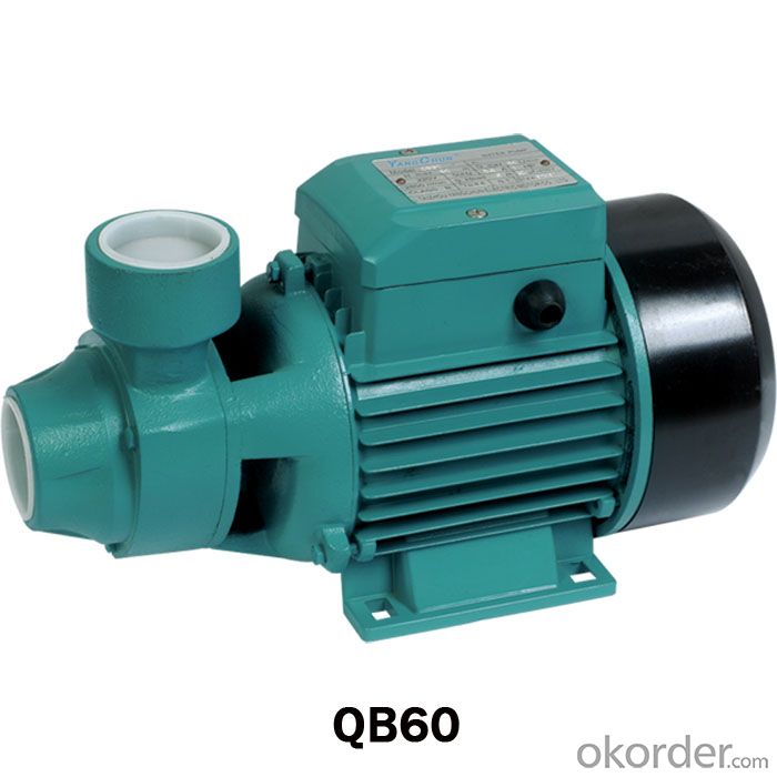 QB Series Peripheral Pump with Brass Impellers