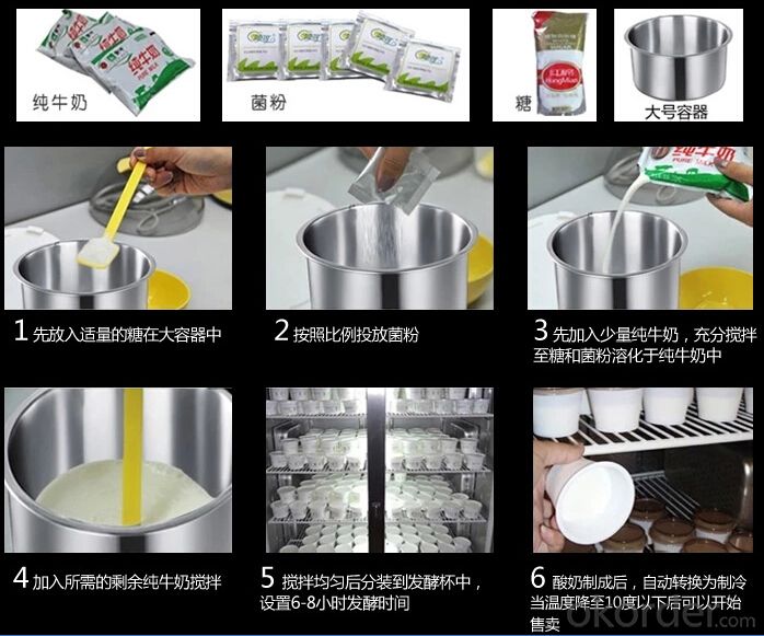 Commercial Yogurt Make / Industrial Yogurt Machine