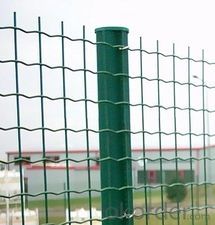 Wire Mesh with PVC Coating Wire Mesh From Factory Directly