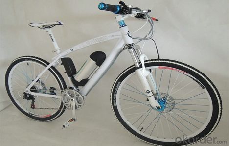 36V 10ah Electric Bicycle Battery 12ah Li-ion Battery Pack for E-bike