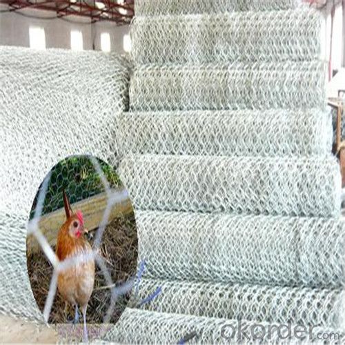 Hexagonal Wire Mesh Galvanized PVC Coated Chicken Fence with Good Quality