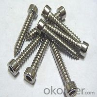 High Quality Screws Pan Head Self Tapping Screws with Low Price