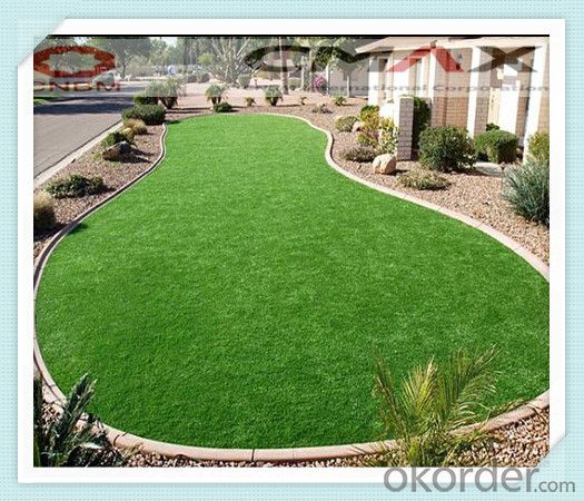 Cheap Artificial Grass Carpet from Chinese Factory