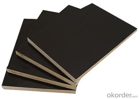 Poplar Core Black Film Faced Plywood For Construction Use