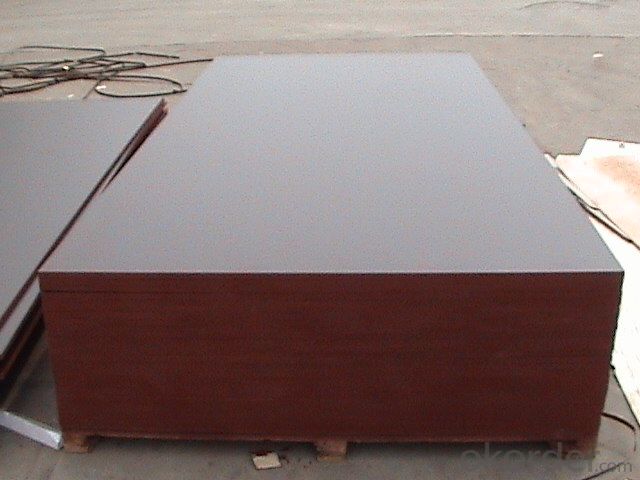 Poplar Core Brown Film Faced Plywood for Construction