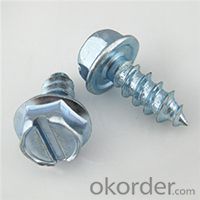 Hex Flange Tapping Screws Cut-17Point with EPDM 25mm Washers