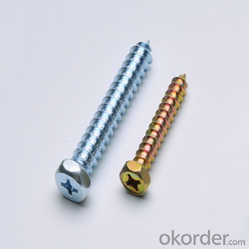 Cross Recessed Pan Head Self Tapping Screws with High Quality
