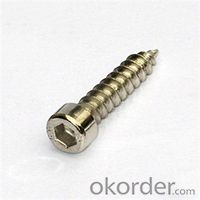 DIN916/ISO4029 Hexagon Self Set Screws with Cone Point Low Price