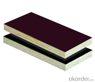 Combi Core (Poplar Core and Hardwood Core) Black Film Faced Plywood