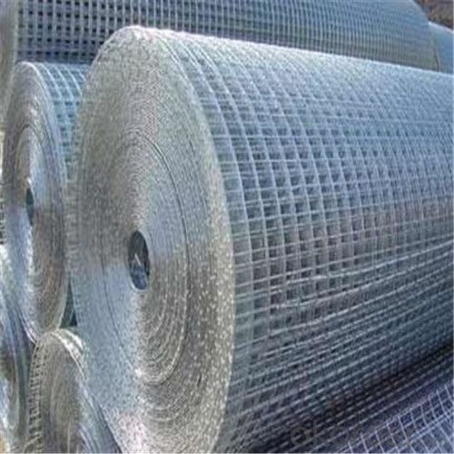 Galvnized Wire Mesh Hot Dipped and Electro Galvanized BWG12-26