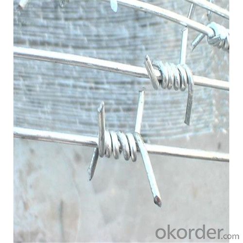 Galvanized Barbed Wire with High Quality Factory Direct Lower Price