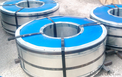 Galvanized Steel Coil  Dx51d Hot Dipped  CNBM