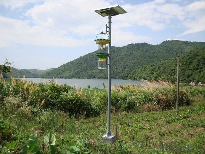 Photovoltaic Solar Insecticidal Light System