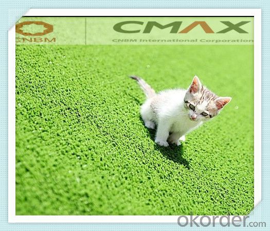 Artificial Grass Turf/Synthetic Turf from China