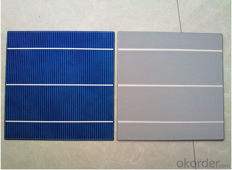 Polycrystalline Solar Cells A GRADE Wholesale High Efficiency with Low Price