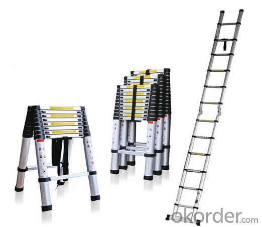 Aluminum Telescopic Ladder,Portable and Hot Sale
