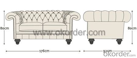 Rochester Sofa with Top Grain Leather or PU