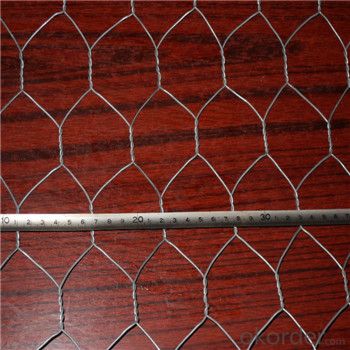 Galvnized Wire Mesh Hot Dipped and Electro Galvanized Really Factory
