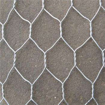 Welded Wire Mesh with Good Quality and Nice Price Made in China