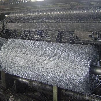 Welded Wire Mesh with Good Quality and Nice Price Made in China
