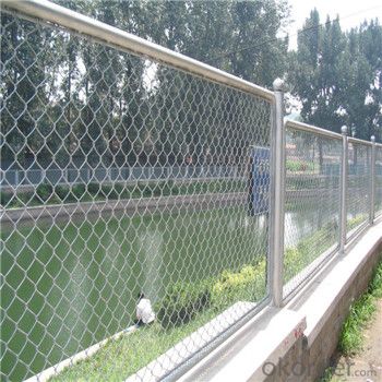 PVC Coated Chain Link Wire Mesh Galvanized WIre Mesh Factory Price Made in China