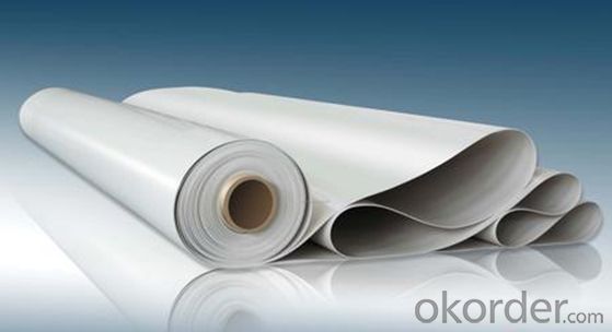 Thermoplastic Polyolefin (TPO)Roofing Membrane for Roofing Industry