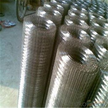 Galvnized Wire Mesh/Hot Dipped and Electro Galvanized Made in China Factory