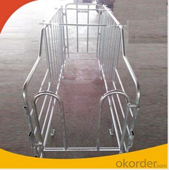 Galvanized Gestation Crate or Stall for Piglets(1 Booths)
