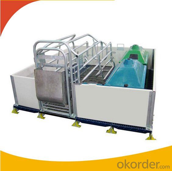 Galvanized Gestation Crate or Stall for Piglets with PVC Wall(1 Booths)