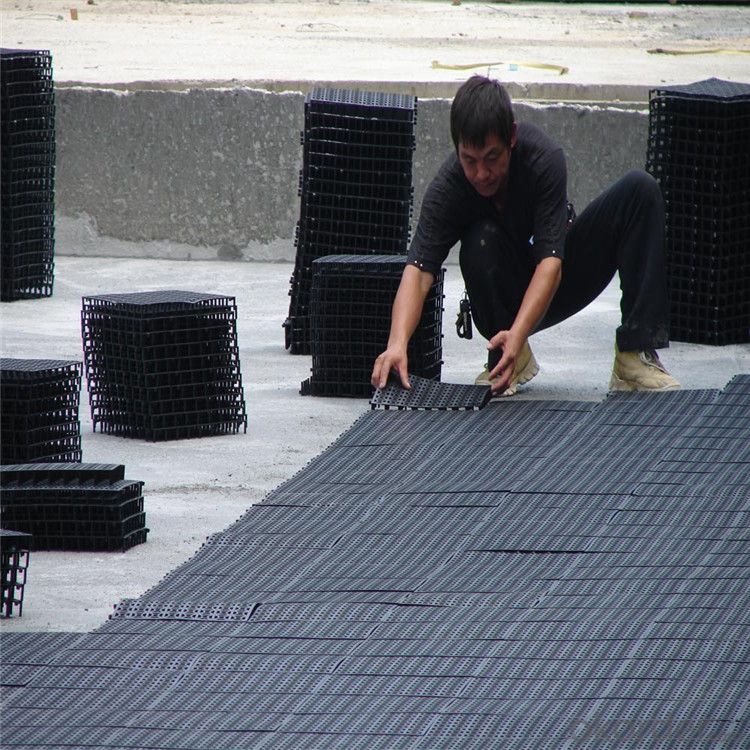 Geonet with High-Density Polyethylene (HDPE) and Ultravioresistant