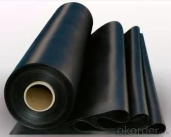 Waterproof Geomembrane/Liner/ Sheet with China Top Quality