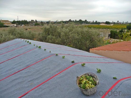 Weed Control Fabric for Green Plants Stab Resistant