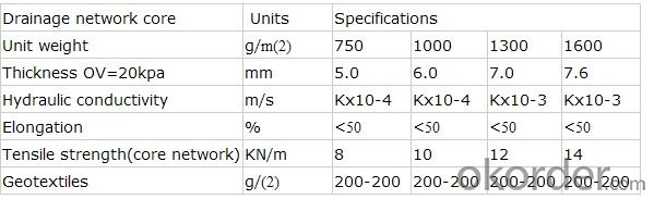 drainage composite geonet / tri-dimension supplier price / China biggest manufacturer / factory