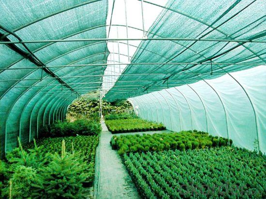 Weed Control Fabric for Green Plants Stab Resistant