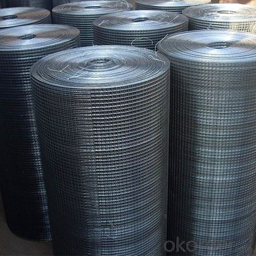 Stainless Steel Welded Wire Mesh with Good Price