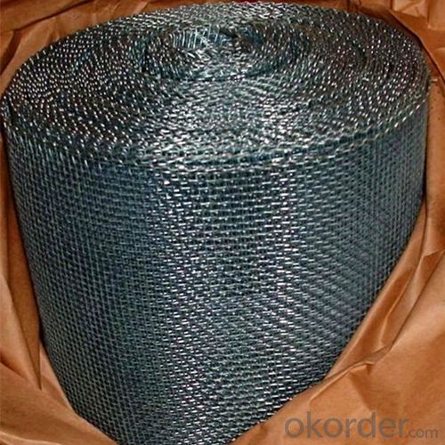 Square Wire Mesh/Galvanized Iron Wire, Stainless Steel Wire