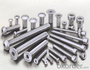 30 Years Factory Hexagon Socket Machine Screw Stainless Steel