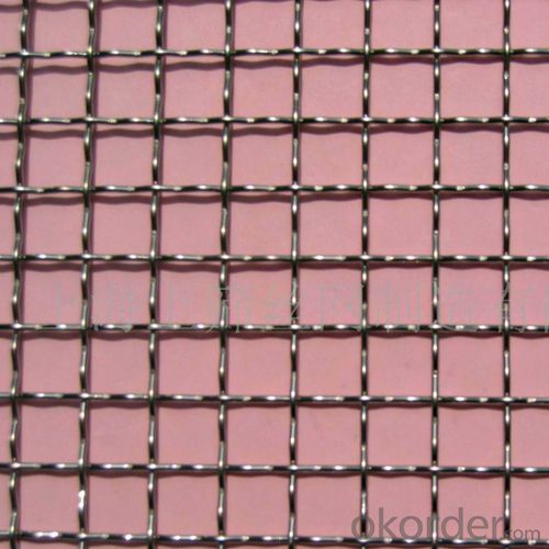 Square Wire Mesh/Galvanized Iron Wire, Stainless Steel Wire
