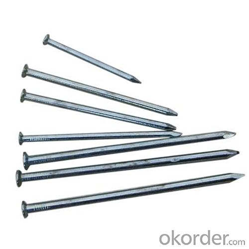 Common Nails High Quality Iron Nail Factory Competitive Price
